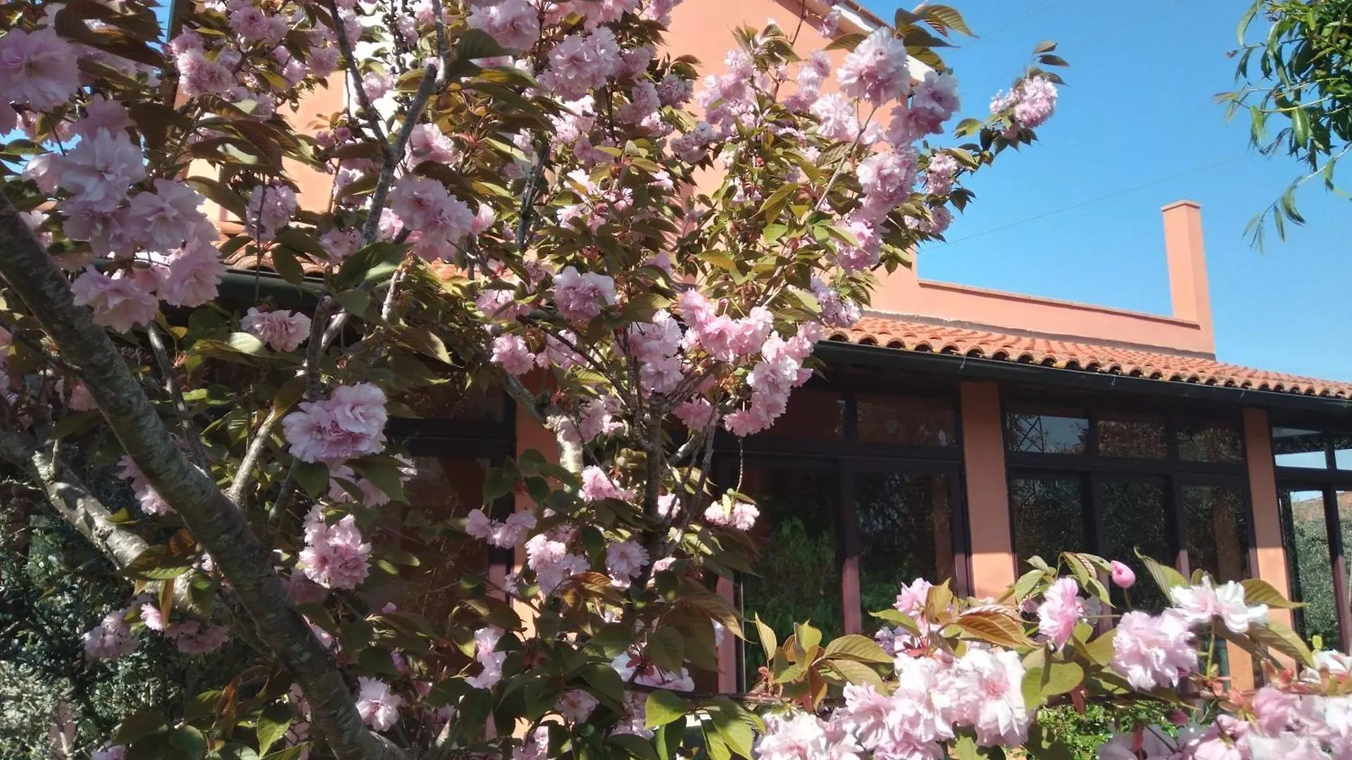 Dom wakacyjny Willa La Casa Di Rosa Selvatelle